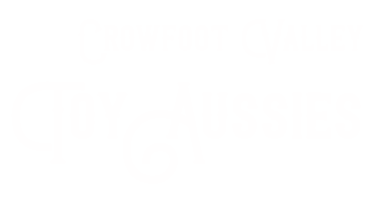 Crowfoot Valley Toy Aussies