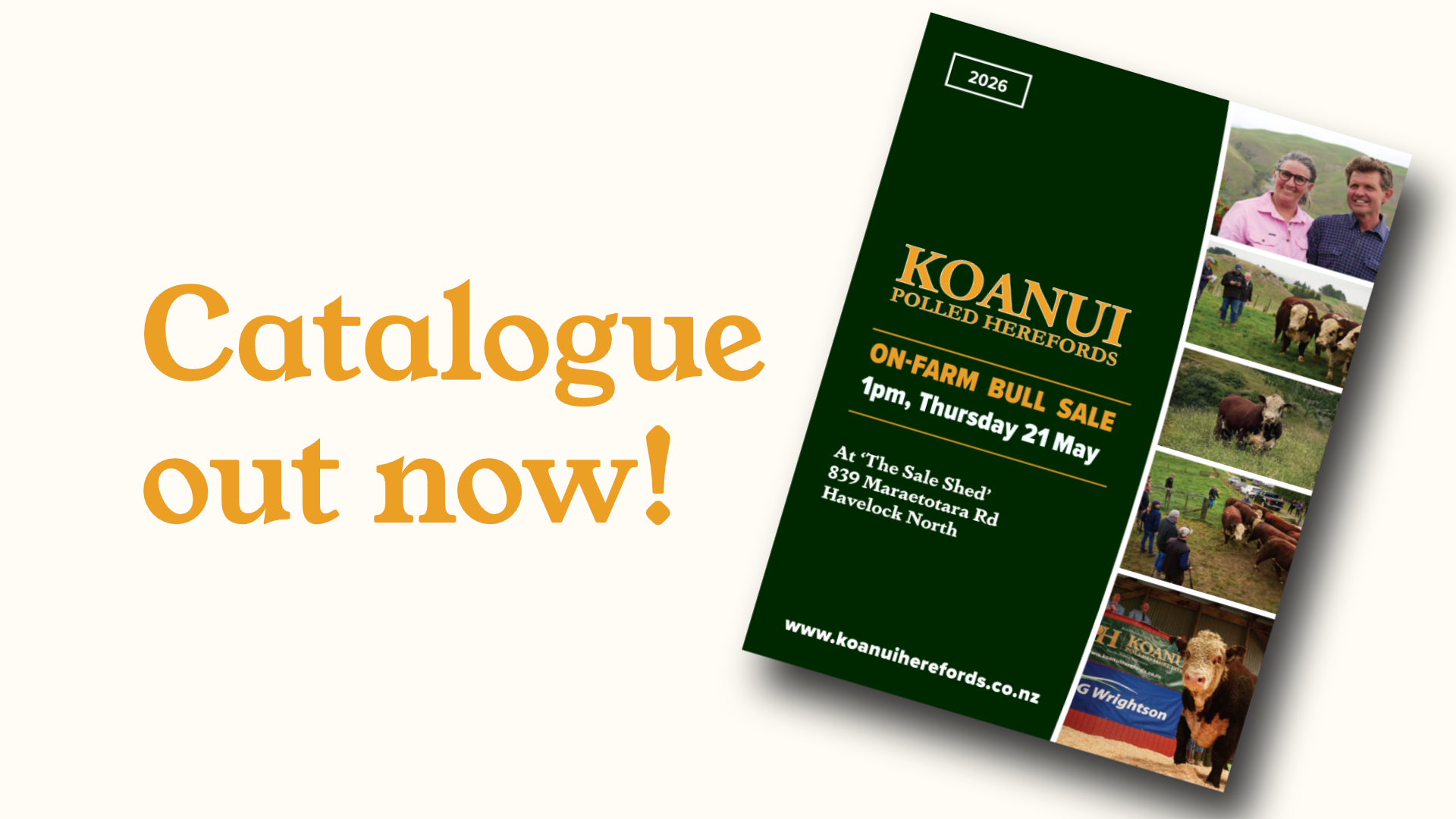 2026 catalogue out now!