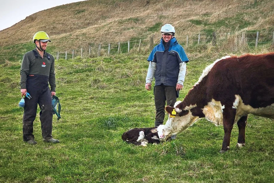 Job opportunity: Fixed-Term Seasonal Shepherd 