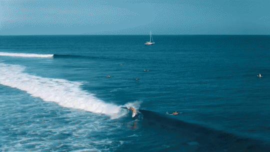 ezgif.com-video-to-gif-2.gif