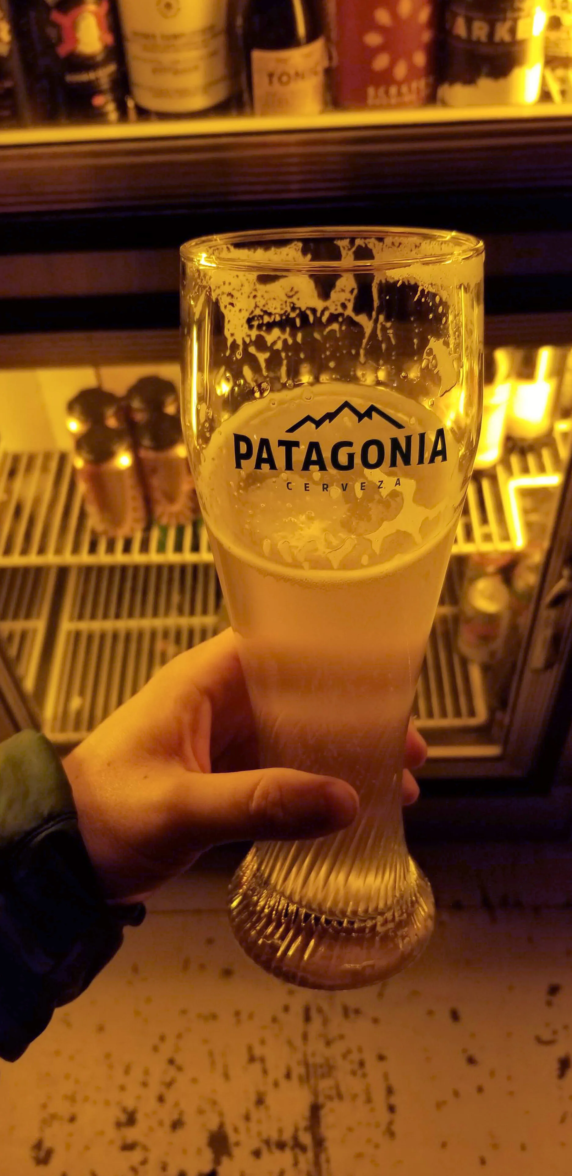 GLASS PATAGONIA.jpg