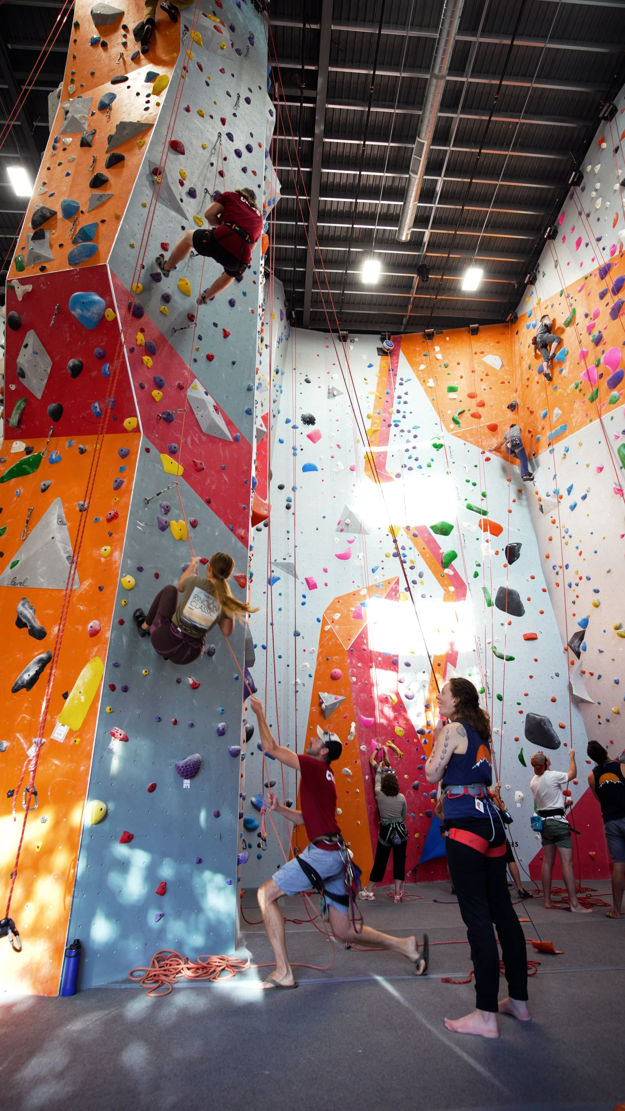 Climbing Class System Climbing Classes — The Commons Climbing Gym