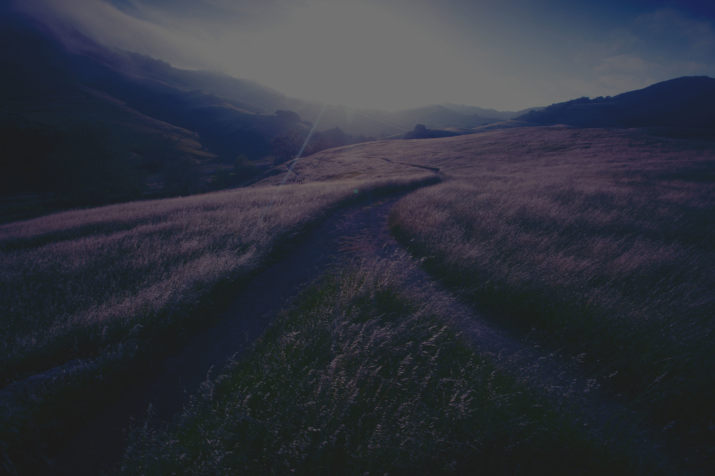 PATH_dark.jpg