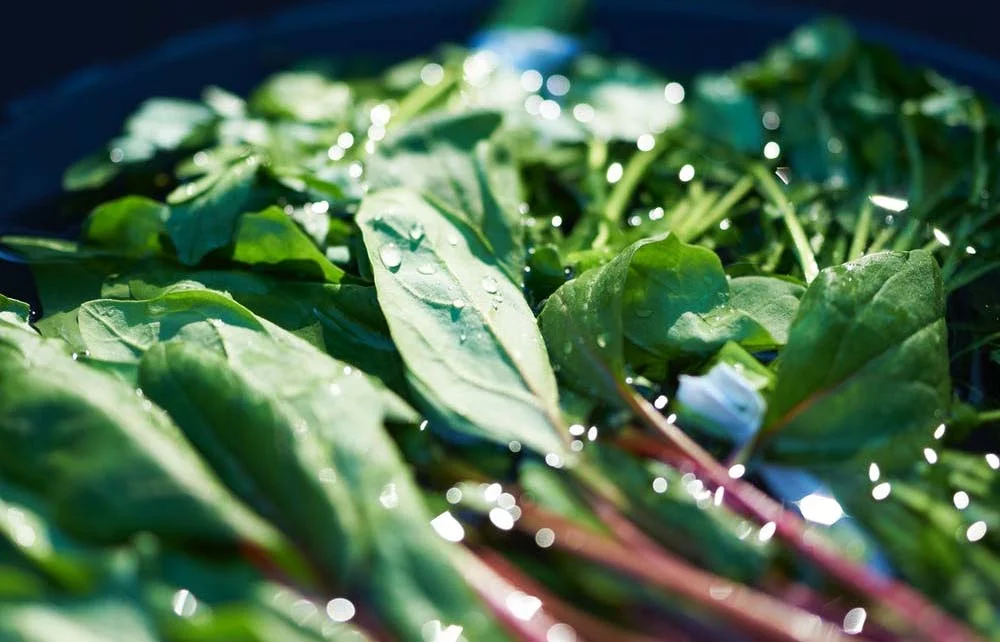 Greens.jpg