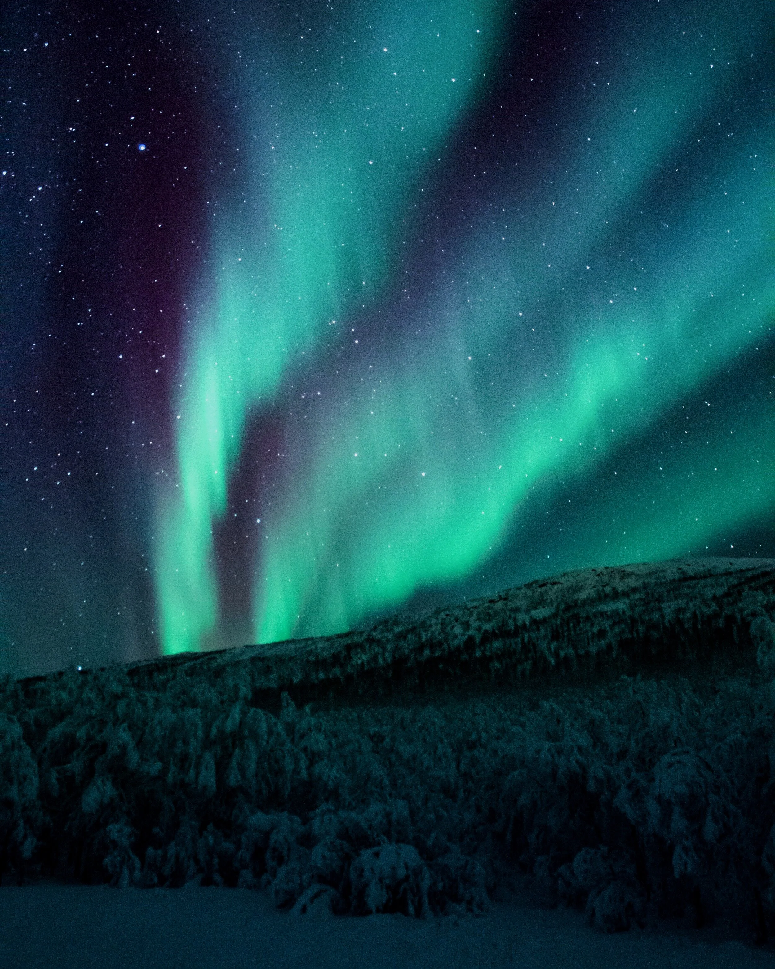 AURORA.jpg