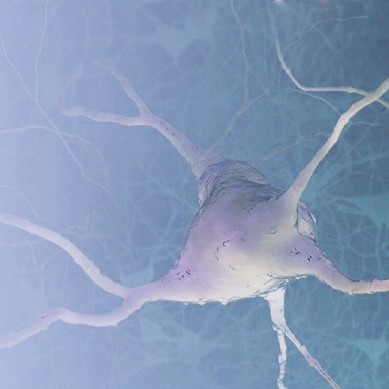 Neurons Visualizations Library — BrainMind