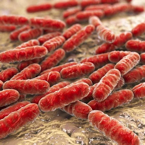Gut-Brain Connections