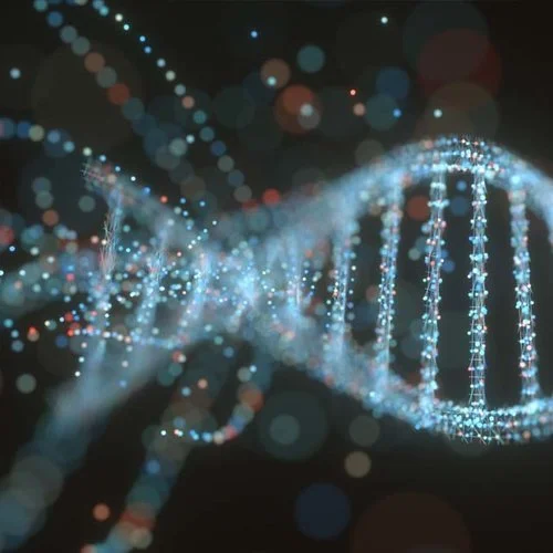 CRISPR / Gene Editing / Alzheimers'
