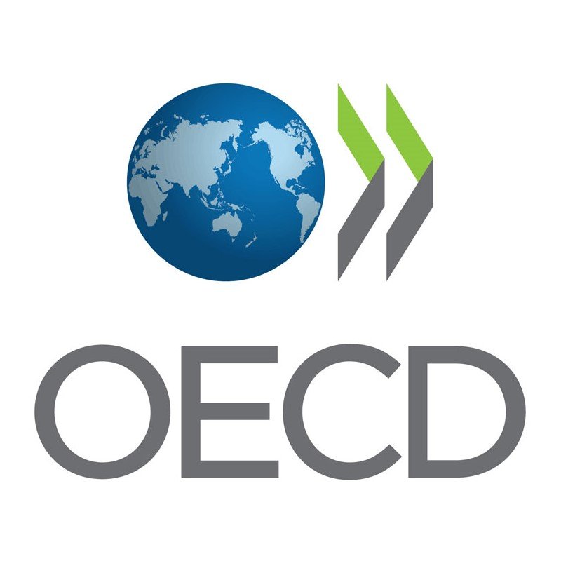Partner-Logo-OECD-1.jpg