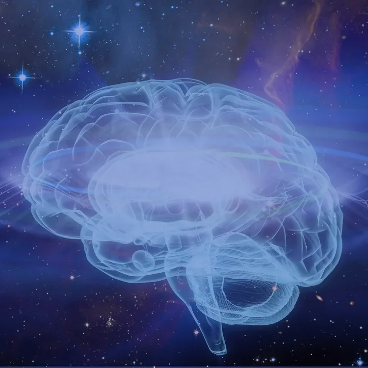 Quantum Consciousness