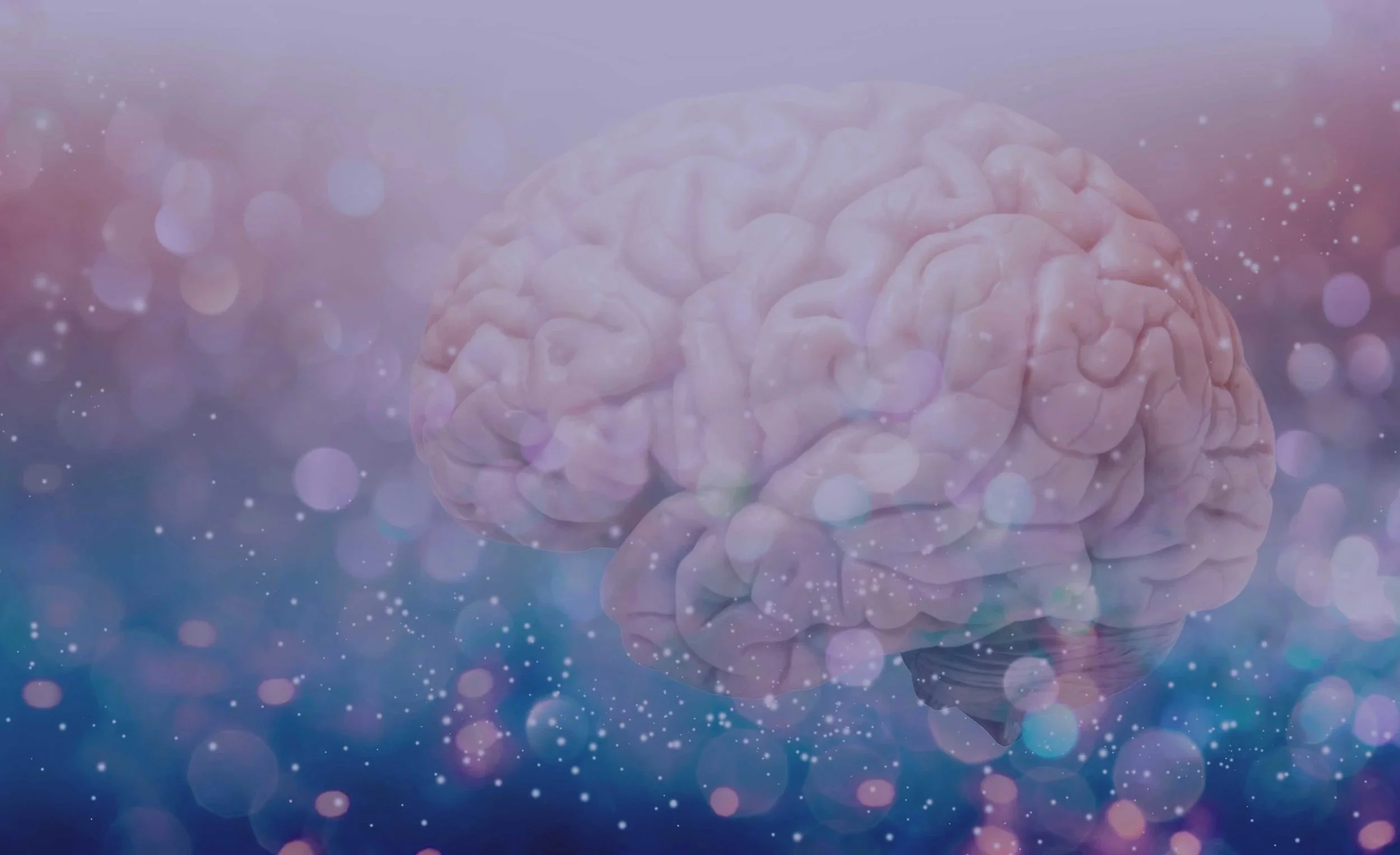 BrainMindTimeline.jpg