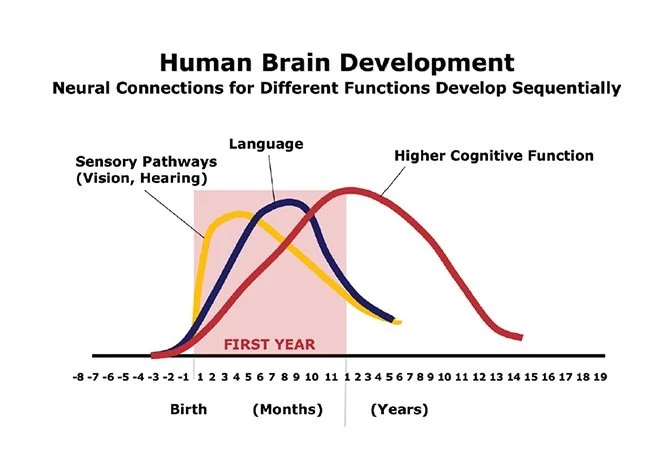 Early Education — BrainMind
