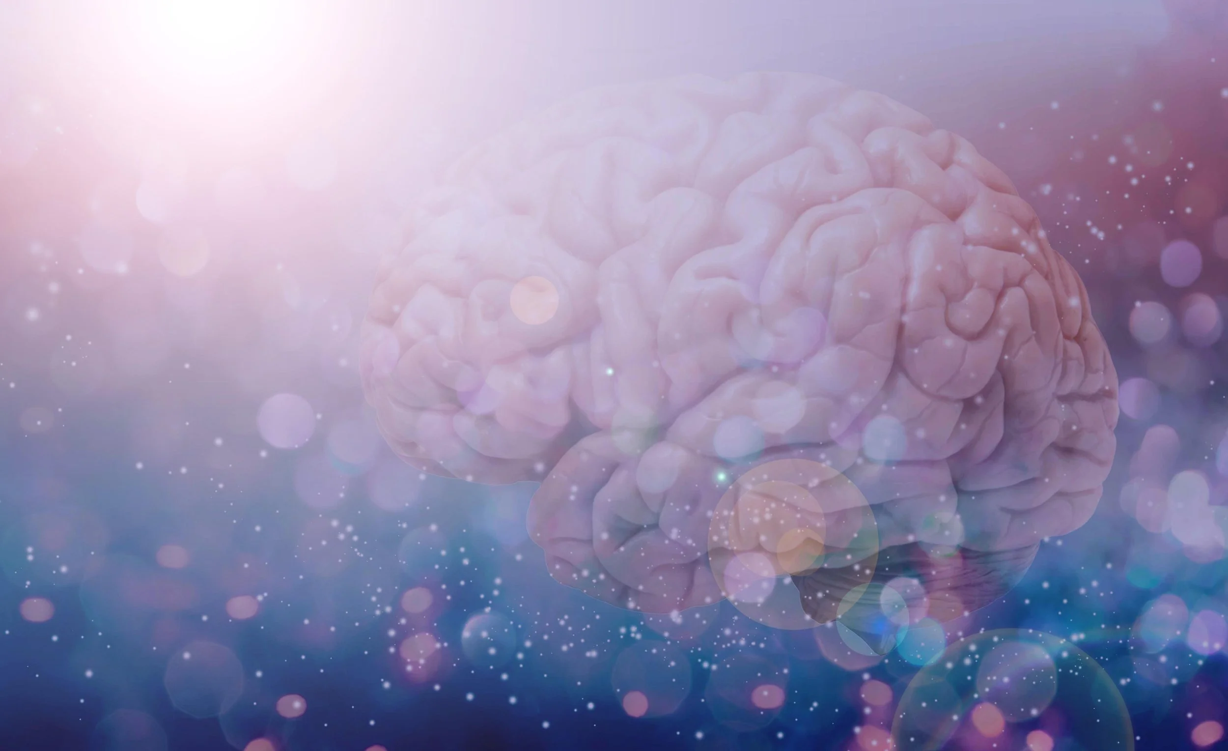 BrainMind_MainWebsite4.jpg