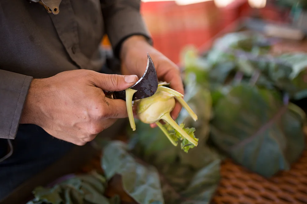 kohlrabi-11.jpg