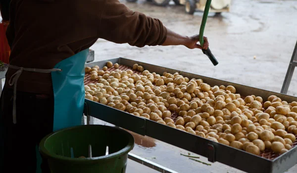 Potato-Wash-Outside_1403732244.jpg