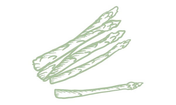 Asparagus
