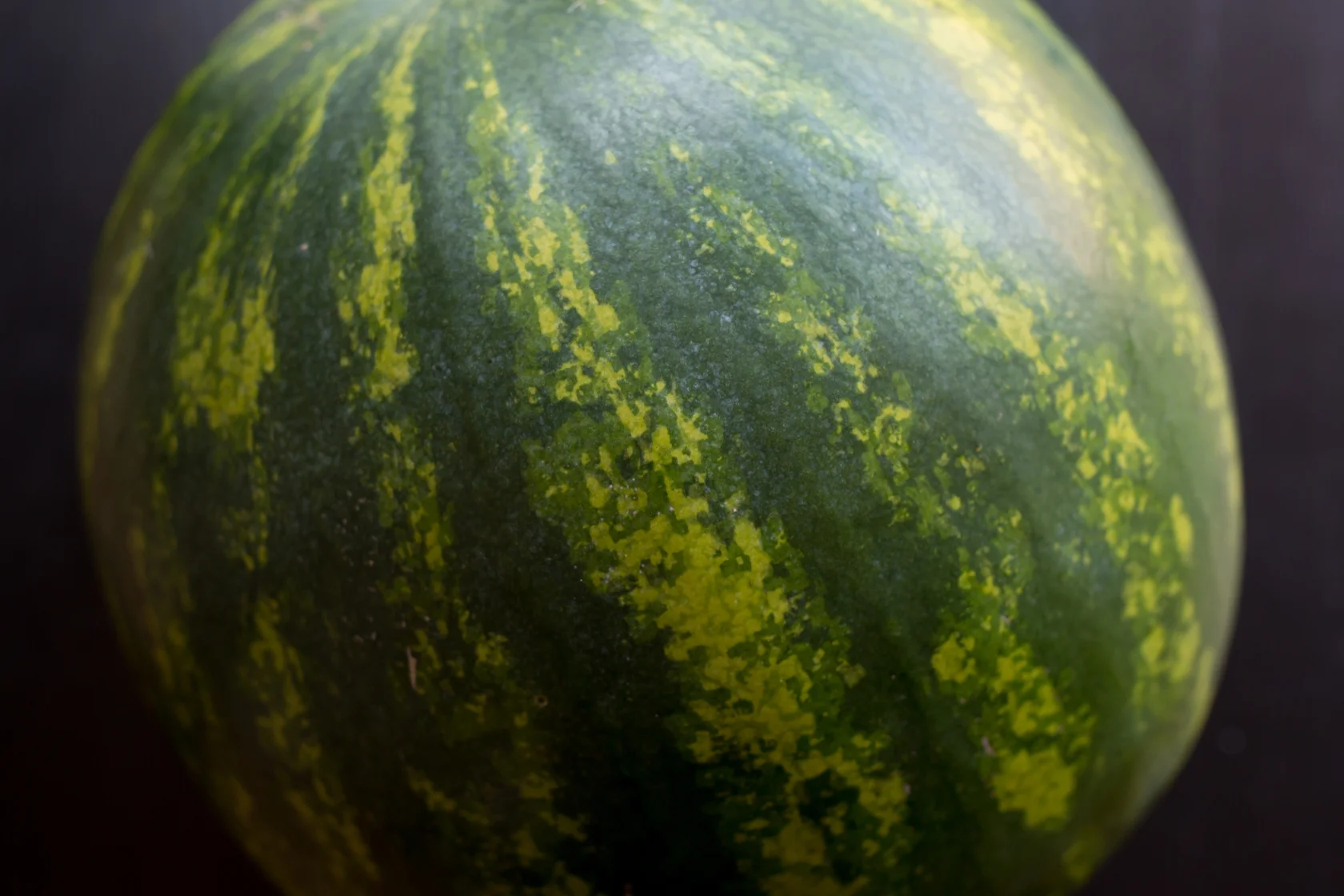 melon-15.jpg