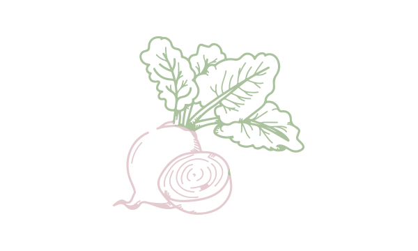 Beets