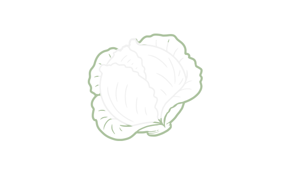 Cabbage