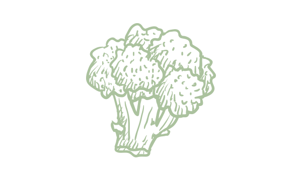 Broccoli