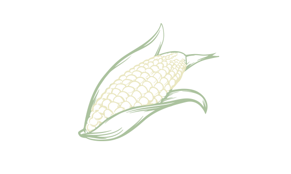 Sweet Corn