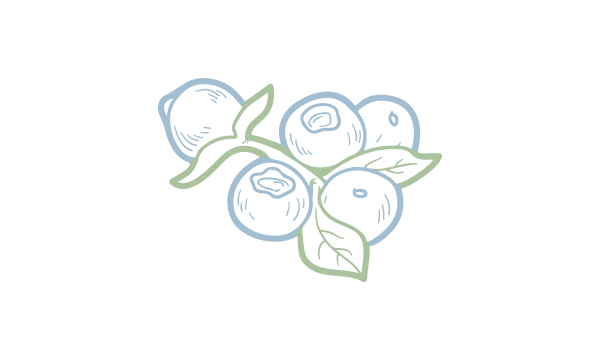 Blueberries