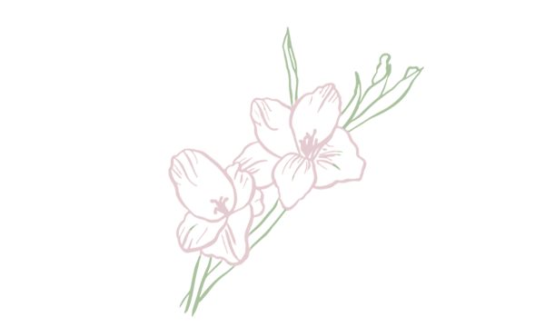 Gladiola