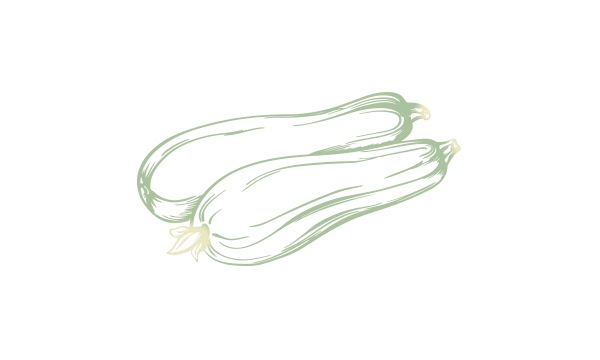 Zucchini