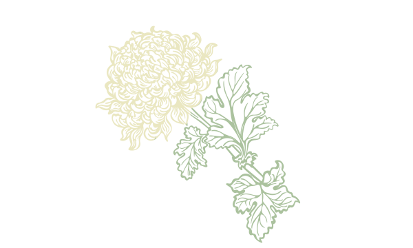 Chrysanthemums