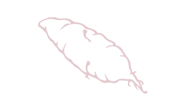 Sweet Potatoes