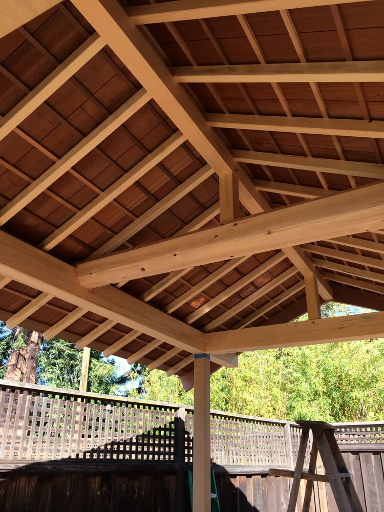 Backyard Japanese Studio Ceiling