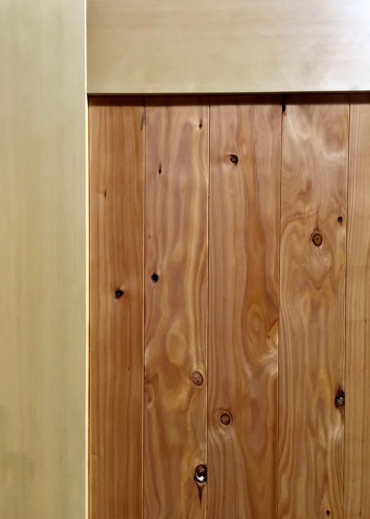 Cedar and Cypress Closeup