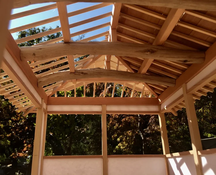 Ceiling Framing