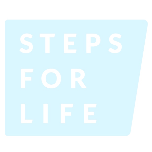 SFL_Logo_white_small.jpg