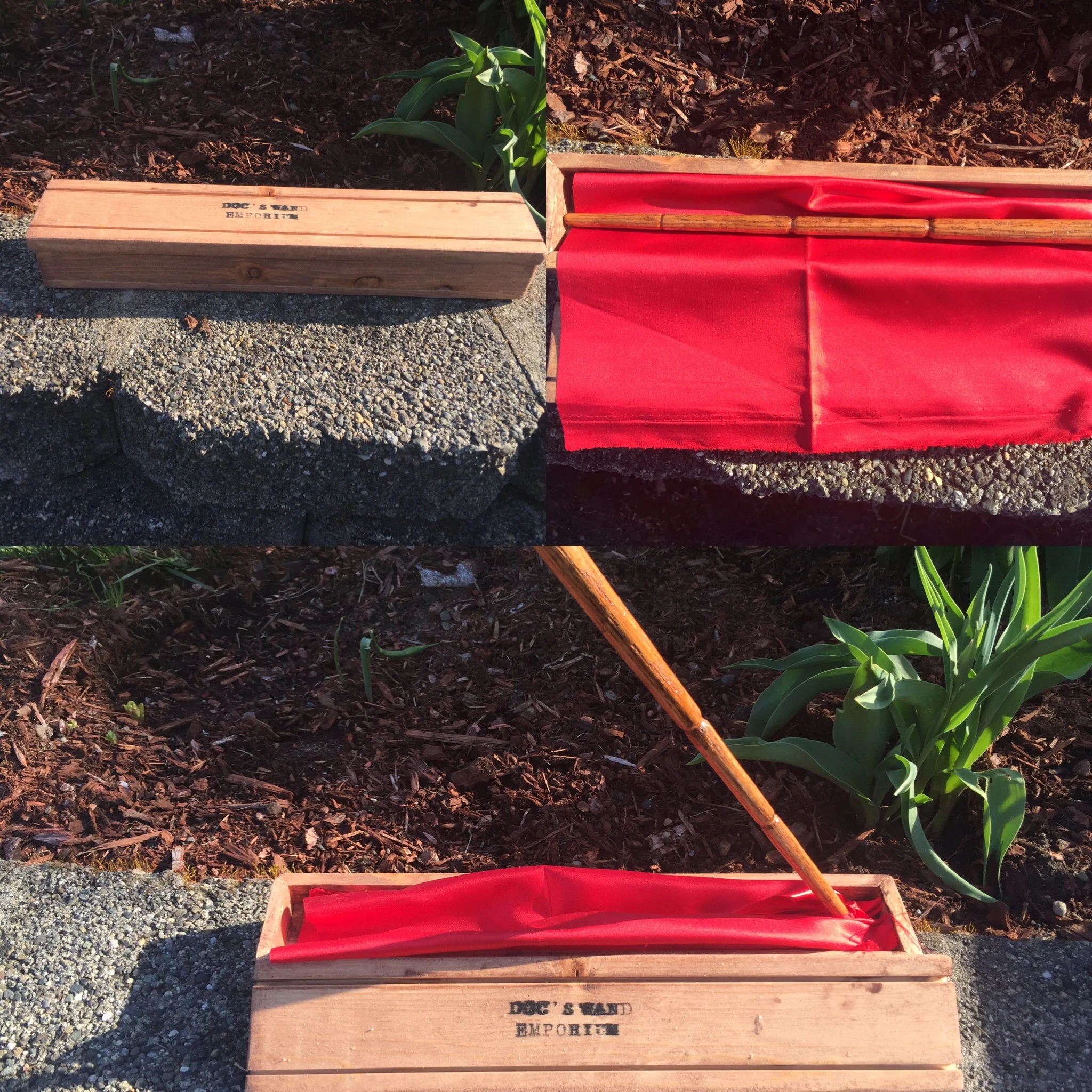 First Wand to go on Sale