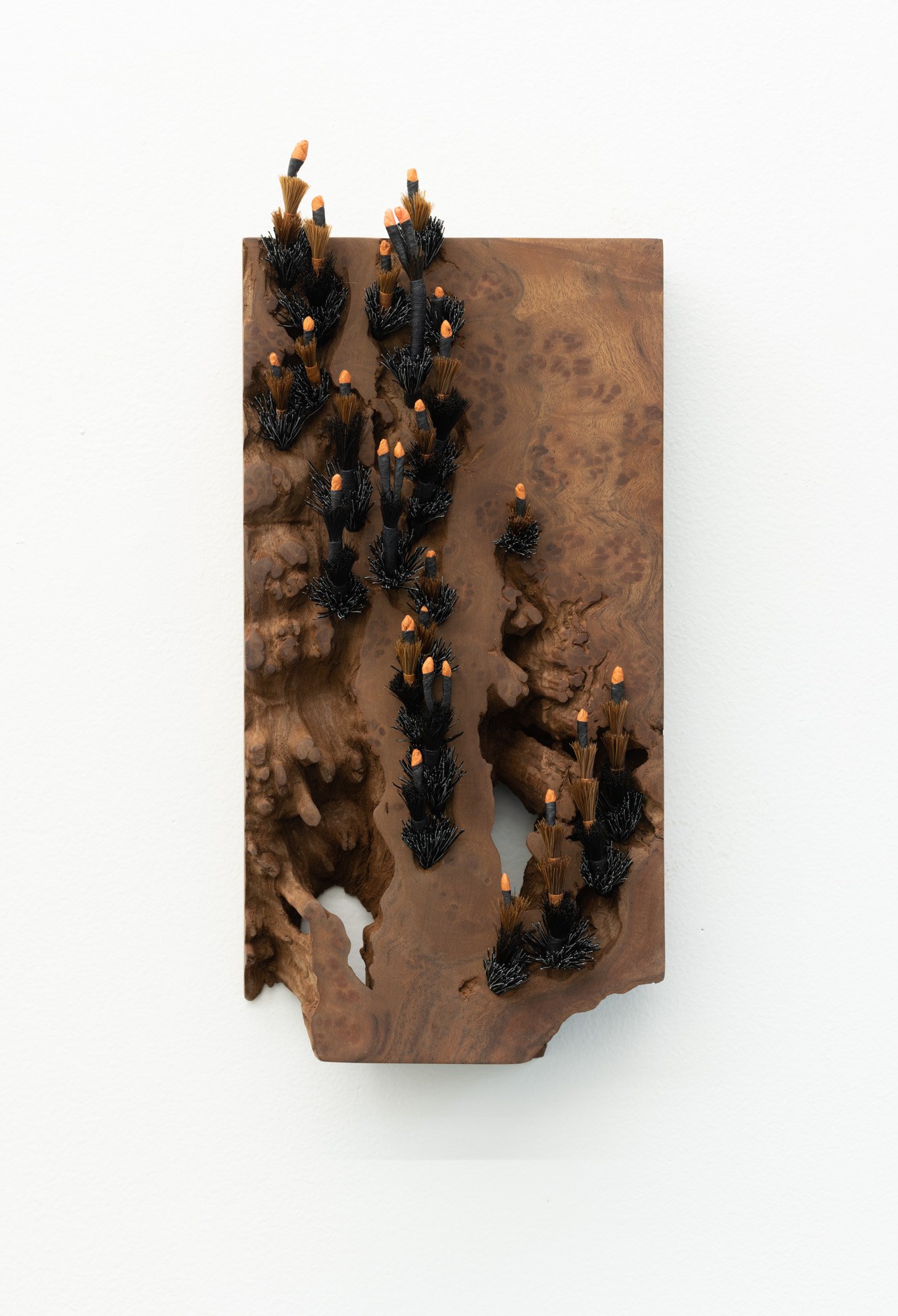  Emily Bixler&nbsp;   Surfacing , 2021   camphor burl, paper, cotton, viscose   15×7×3in.  