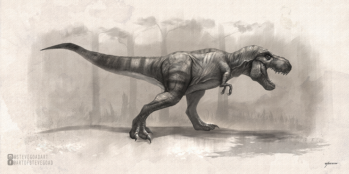 trex_drawing_bystevegoad.jpg