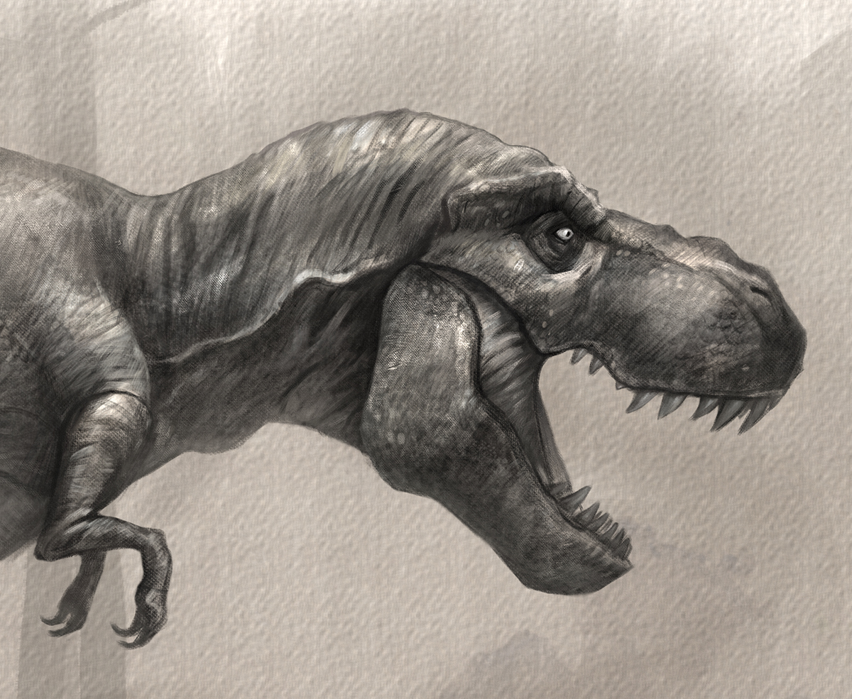 trex_drawing_upclose_bystevegoad.jpg