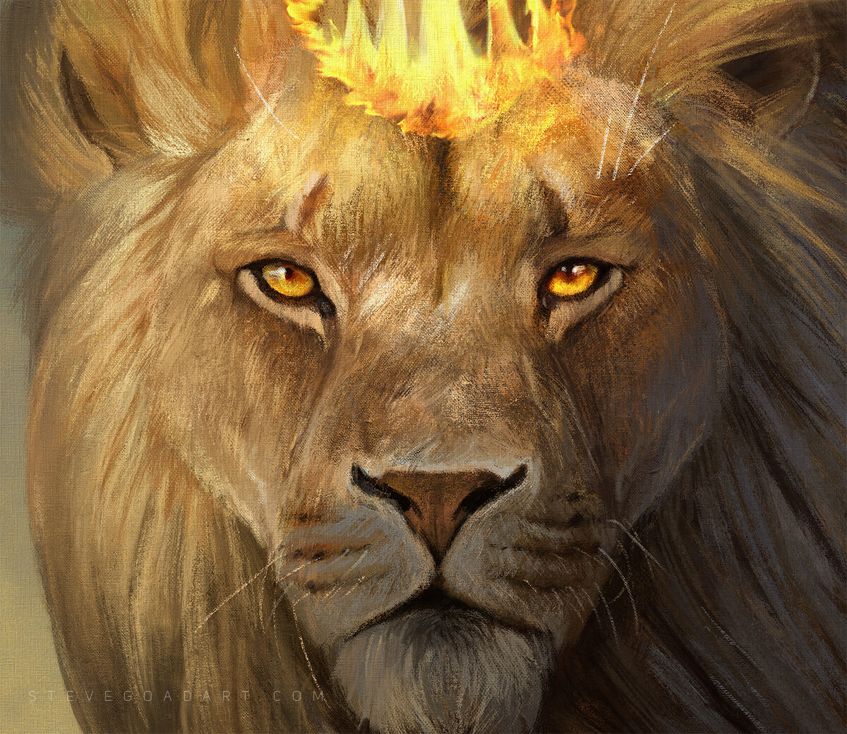 tribeofjudah_close.jpg