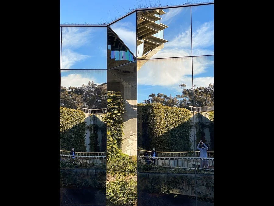The phone pics from that day