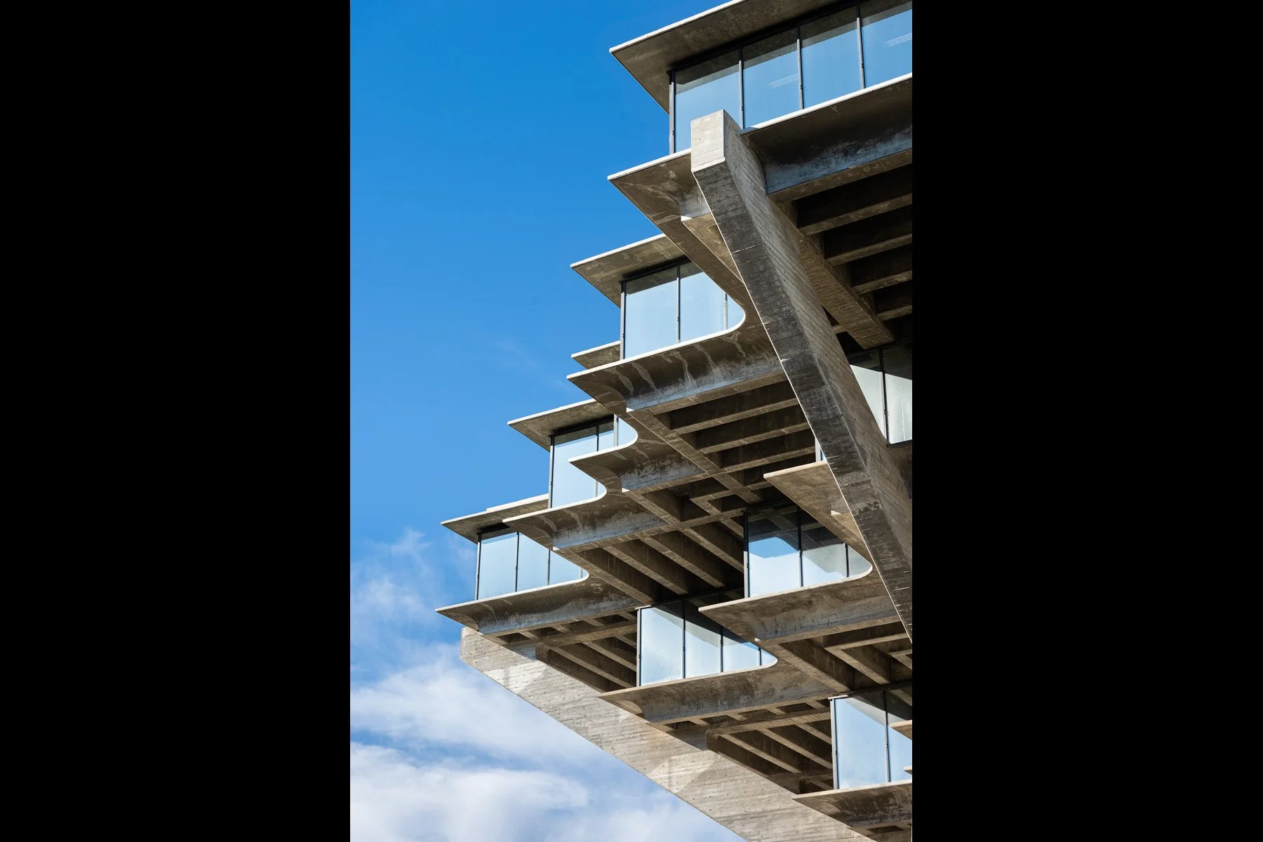 Geisel Day_0059-2.jpg