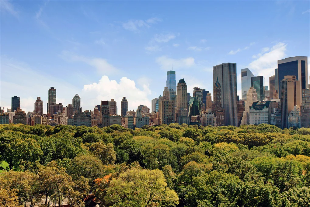 13 - Central Park.jpg