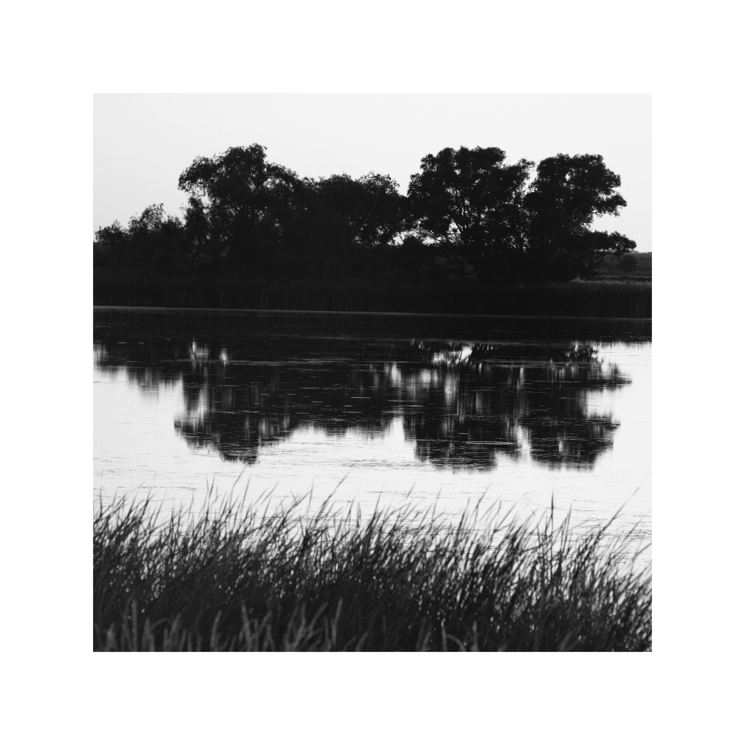 A490F5B4-2F0C-422E-97D3-B34090D0362D.jpeg