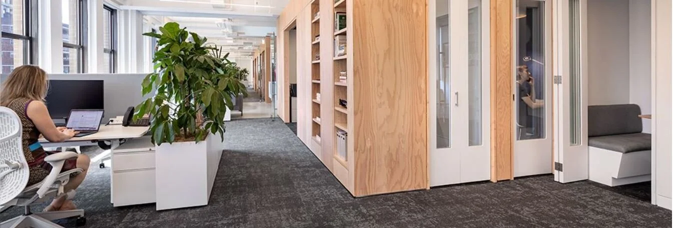 Wellbeing in “The New Normal” Through Biophilic Design