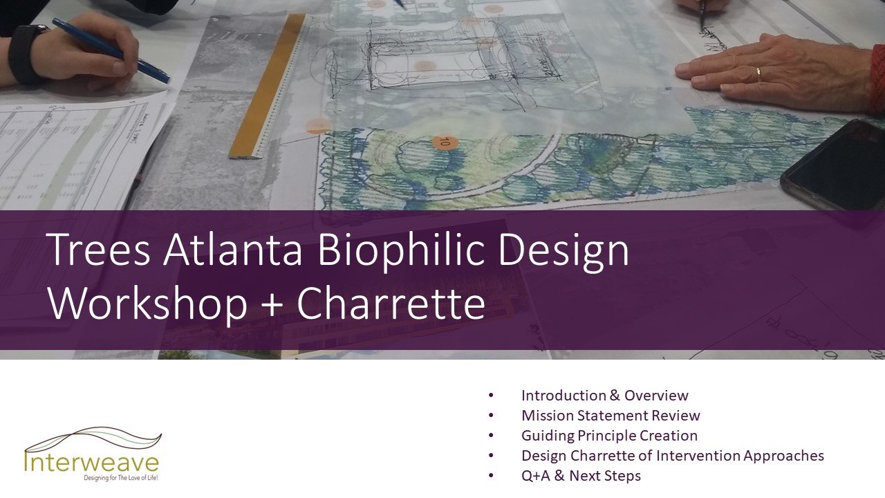 Research-Driven Biophilic Design Charrette
