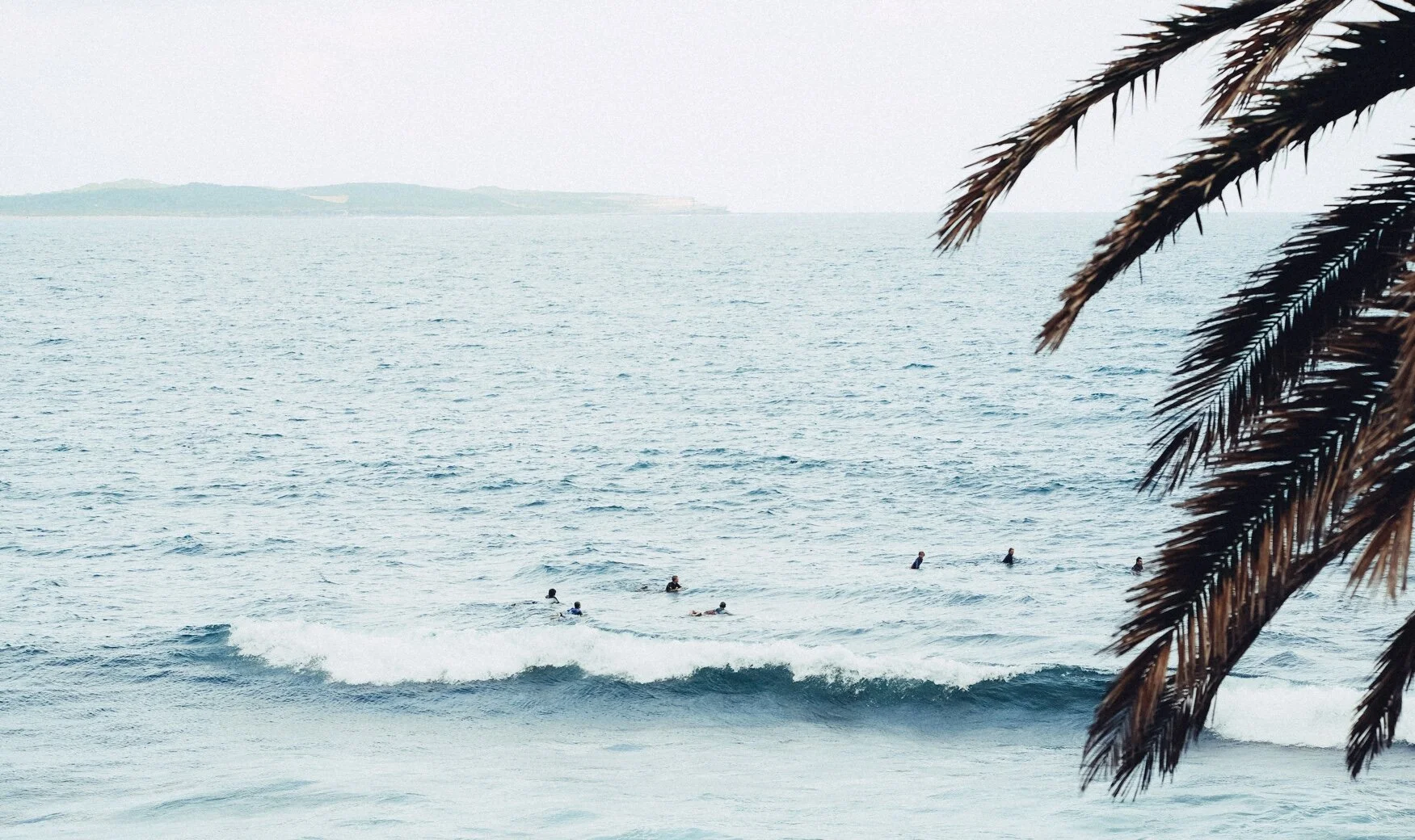 surfers.jpg