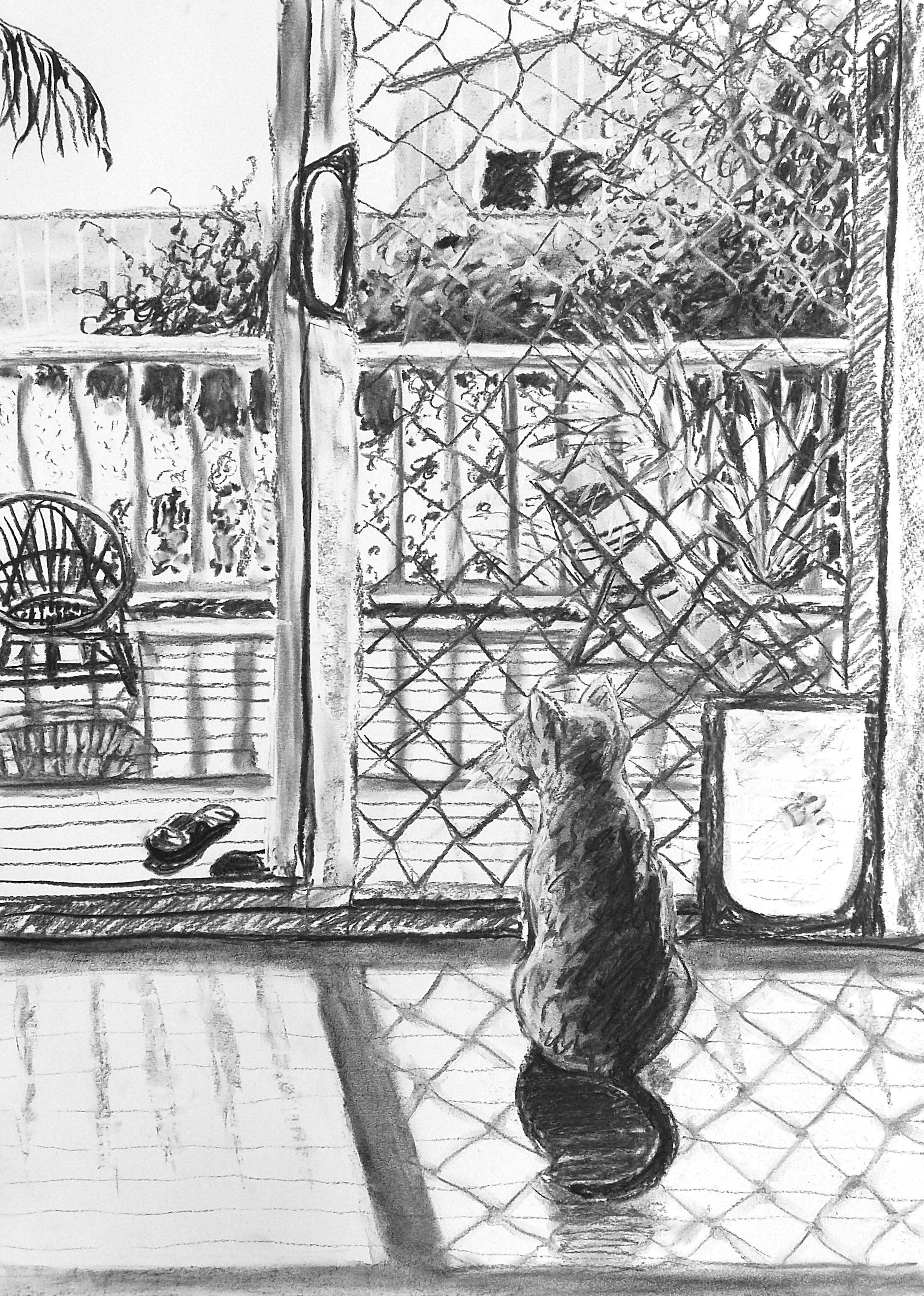 Website_Athena looking out at the verandah charcoal drawing_2018.jpg