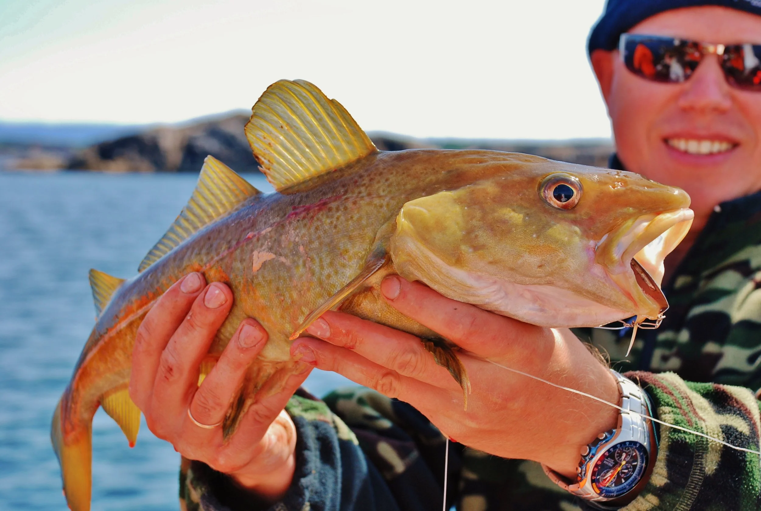 Banner NTW    Bild på fisk t banner.JPG