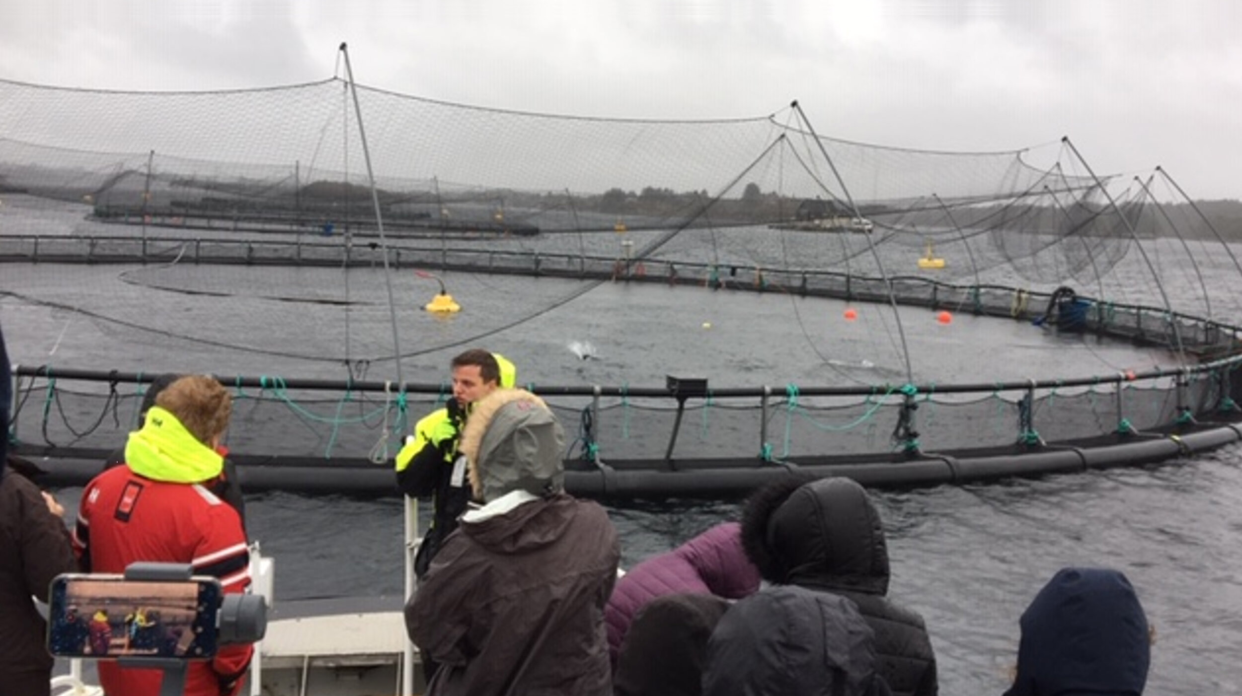 salmon-cage.jpg