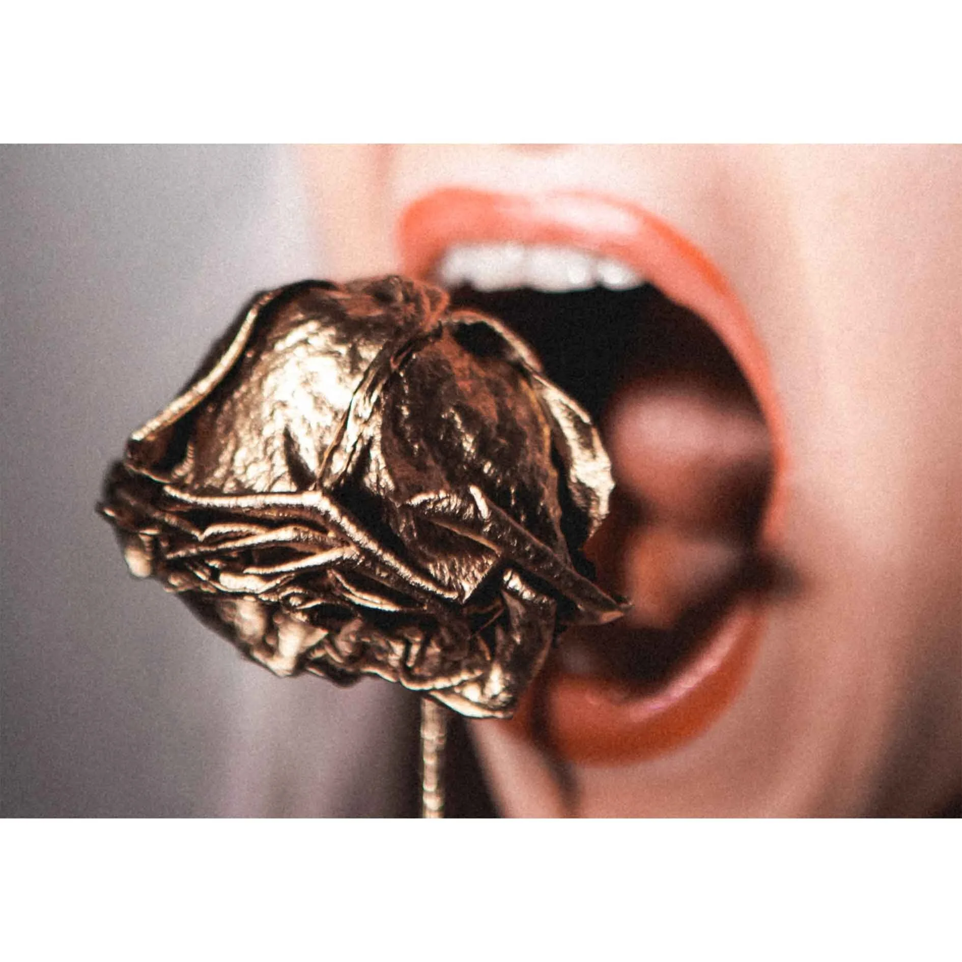 LICK MY ROSE